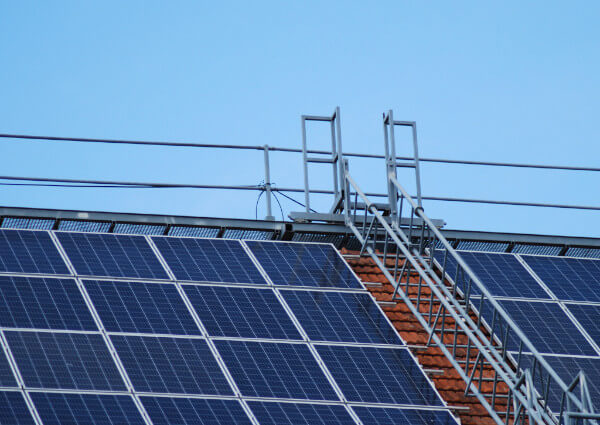 Which electricity retailer offers the best solar feed-in tariff?